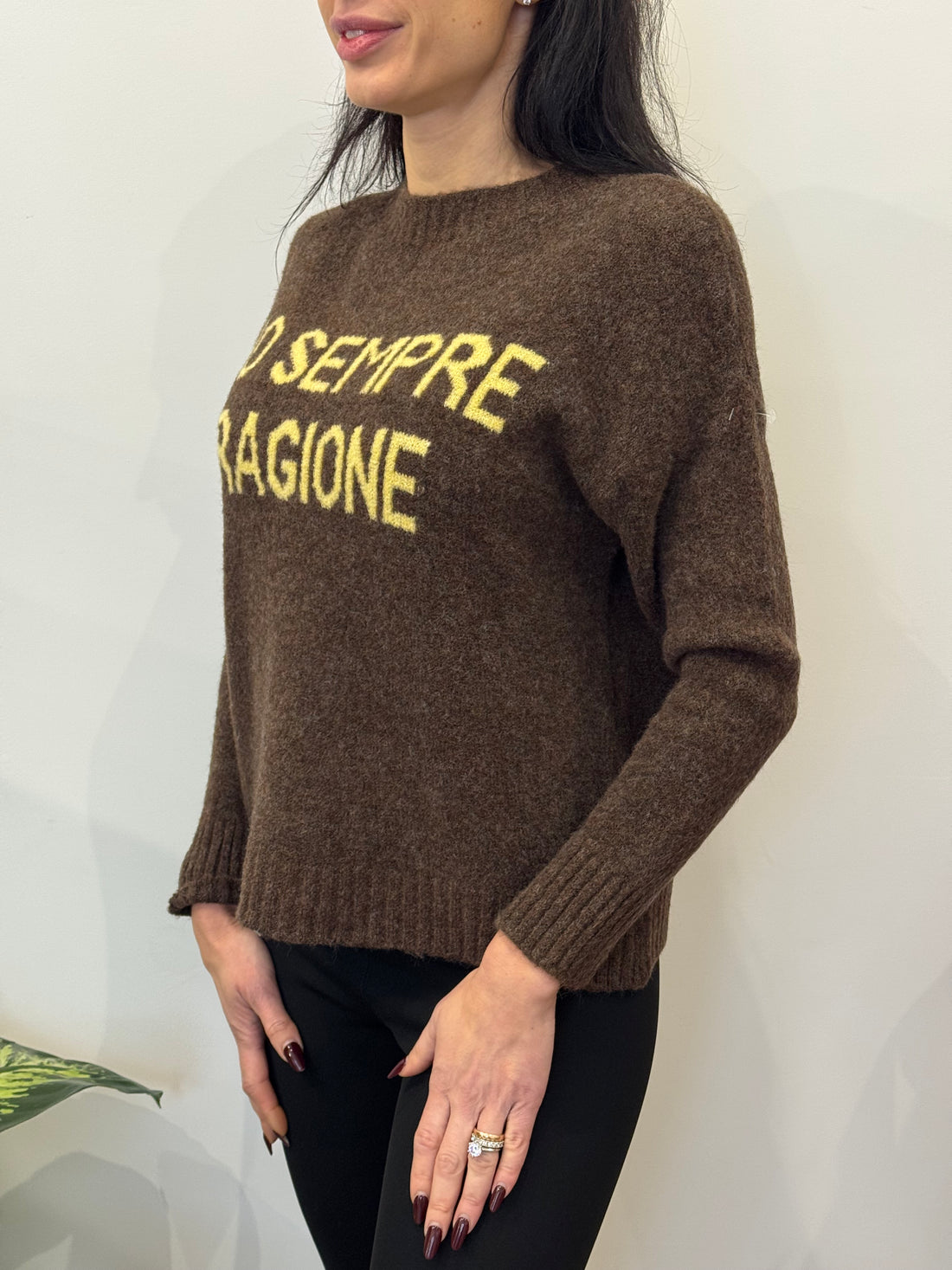 Pull Ho Sempre Ragione