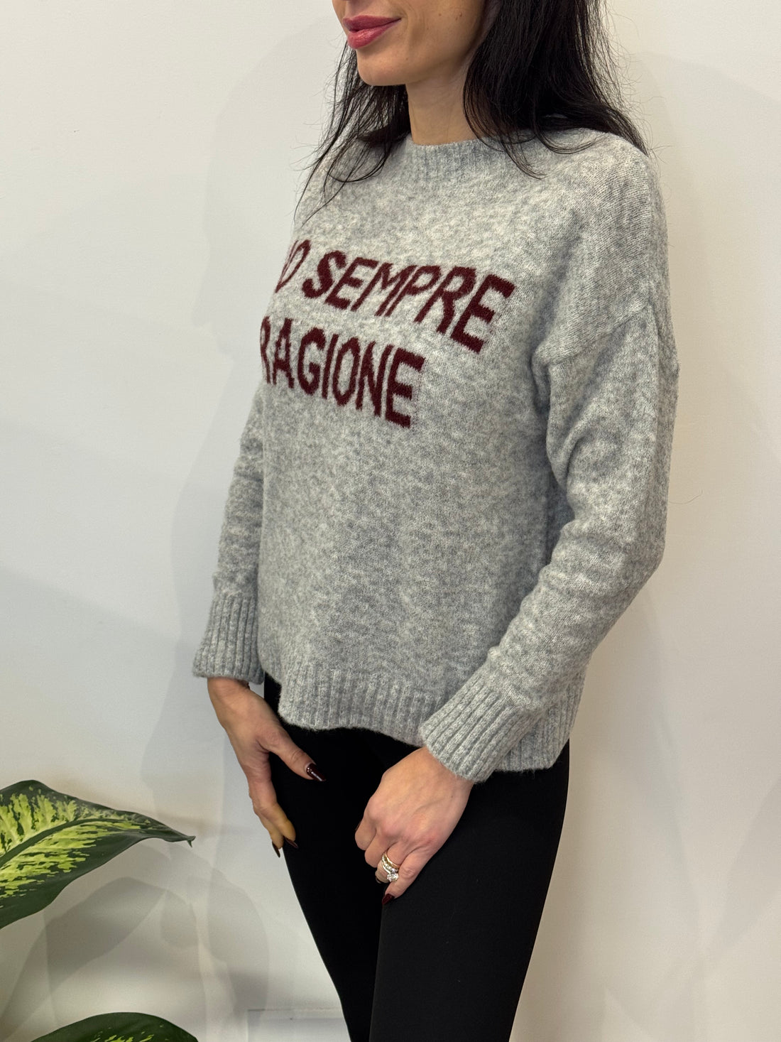 Pull Ho Sempre Ragione