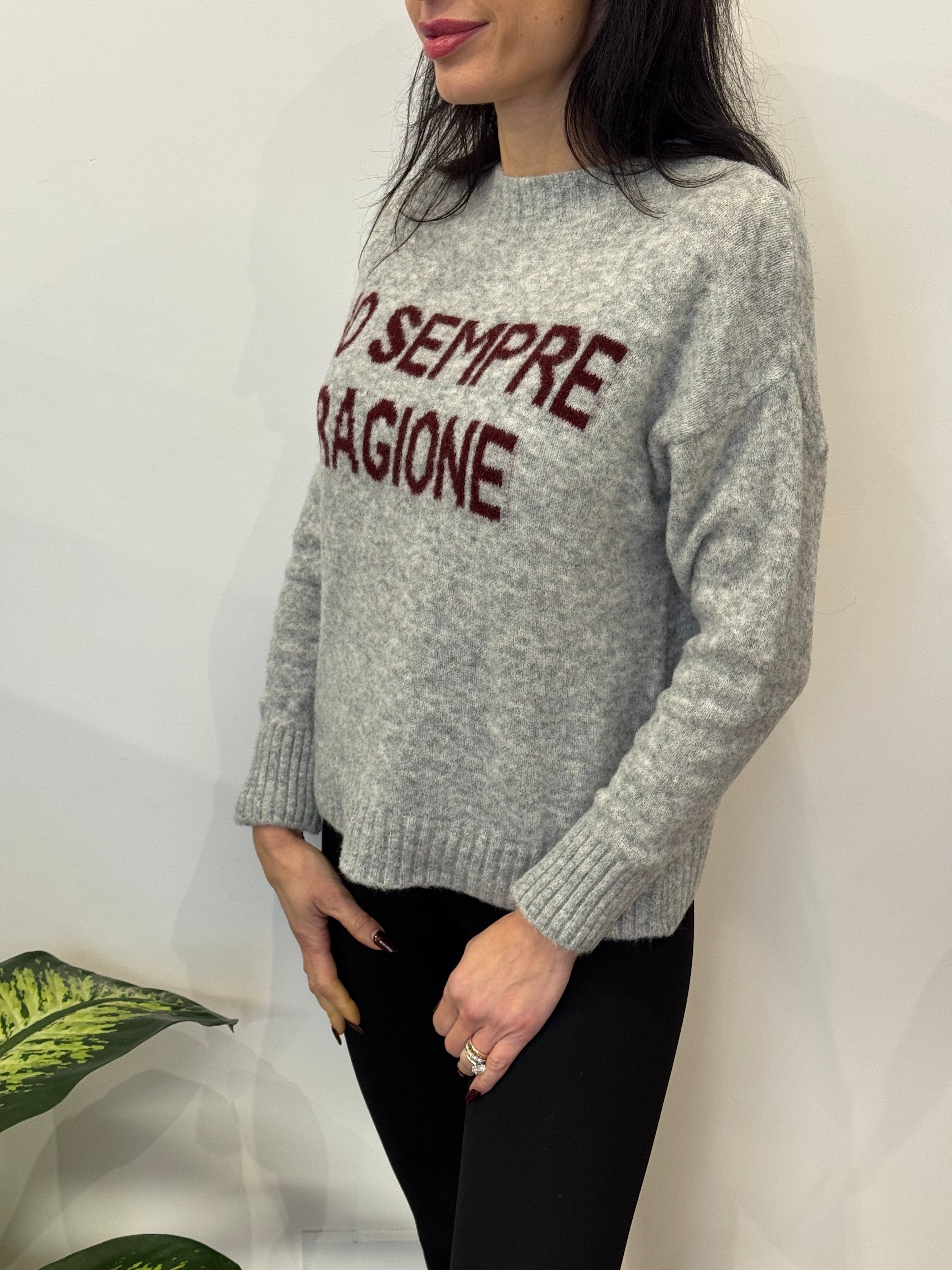 Pull Ho Sempre Ragione